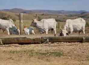 Fazenda, 2 Quartos em Zona Rural, Vargem Bonita, MG valor de R$ 32.000.000,00 no Lugar Certo