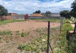 Lote