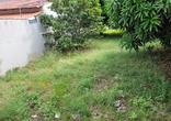 Lote