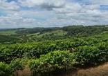 Fazenda, 3 Quartos, 3 Vagas