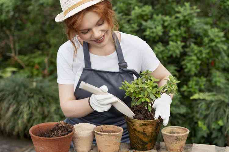 Aprenda como adubar suas plantas - Freepik