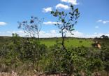 Fazenda, 1 Quarto, 1 Suite