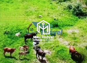 Fazenda, 5 Quartos em Área Rural, Área Rural de Luziânia, Luziânia, GO valor de R$ 1.500.000,00 no Lugar Certo