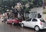 Andar