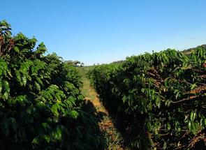 Fazenda em Zona Rural, Nepomuceno, MG valor de R$ 600.000,00 no Lugar Certo