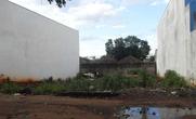 Lote
