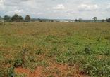 Fazenda