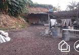 Lote