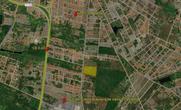 Lote