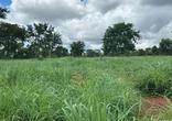 Fazenda
