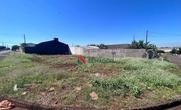 Lote
