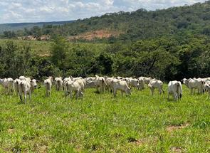 Fazenda, 4 Quartos, 2 Vagas em Centro, Três Marias, MG valor de R$ 15.900.000,00 no Lugar Certo