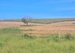 Fazenda