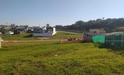 Lote