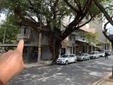 Sala Comercial para alugar, Lourdes - Belo Horizonte, MG - 30m² - ID 353193480 | Lugarcerto