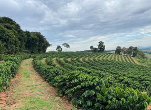 Fazenda em Zona Rural, Luminárias, MG valor de R$ 30.000.000,00 no Lugar Certo