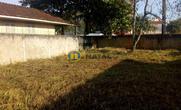 Lote