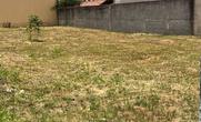 Lote