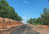 Fazenda, 4 Quartos, 1 Vaga