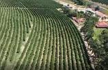 Fazenda a venda em Boa Esperança, MG no valor de R$ 15.000.000,00 no LugarCerto