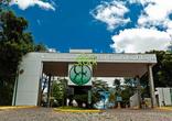 Lote