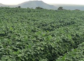 Fazenda em São Vicente, Flores de Goiás, GO valor de R$ 20.000.000,00 no Lugar Certo