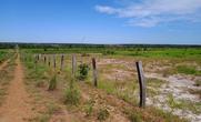 Fazenda