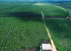 Fazenda em Centro, Corinto, MG valor de R$ 150.000.000,00 no Lugar Certo