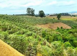 Fazenda em Zona Rural, São Gonçalo do Sapucaí, MG valor de R$ 4.000.000,00 no Lugar Certo