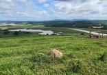 Fazenda