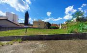 Lote