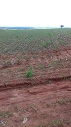Fazenda em Zona Rural, Zona Rural, Ipameri, GO valor de R$ 6.500.000,00 no Lugar Certo