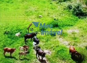 Fazenda, 5 Quartos em Área Rural, Área Rural de Luziânia, Luziânia, GO valor de R$ 1.500.000,00 no Lugar Certo