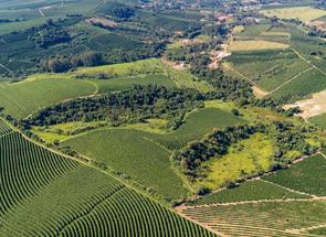 Fazenda, 2 Quartos em Zona Rural, Boa Esperança, MG valor de R$ 5.000.000,00 no Lugar Certo