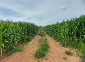 Fazenda, 2 Quartos em Zona Rural, Nepomuceno, MG valor de R$ 4.500.000,00 no Lugar Certo