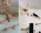 Empresa utiliza espaos suspensos da casa para criar playground para gatos