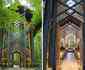 Conhea a belssima capela ecolgica construda no meio de uma floresta
