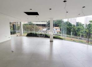 Loja em Rua Mercúrio, Santa Lúcia, Belo Horizonte, MG valor de R$ 2.796.444,00 no Lugar Certo