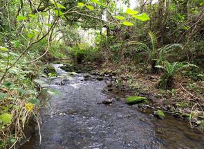 Fazenda, 1 Quarto em Centro, Carandaí, MG valor de R$ 980.000,00 no Lugar Certo