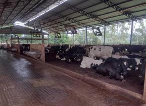 Fazenda, 3 Quartos em Zona Rural, Turvolândia, MG valor de R$ 8.500.000,00 no Lugar Certo