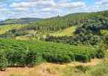 Fazenda, 4 Quartos