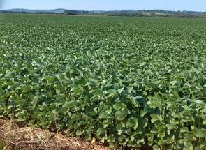 Fazenda em Centro, Cordislândia, MG valor de R$ 19.500.000,00 no Lugar Certo