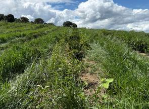 Fazenda em Zona Rural, Nepomuceno, MG valor de R$ 5.000.000,00 no Lugar Certo