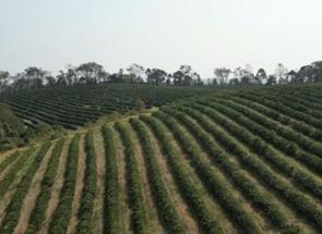 Fazenda em Zona Rural, Poços de Caldas, MG valor de R$ 13.000.000,00 no Lugar Certo
