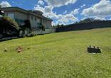 Lote
