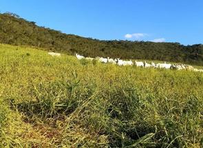 Fazenda em Centro, Itauna, MG valor de R$ 2.000.000,00 no Lugar Certo