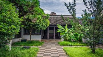 Ideias de plantas para transformar e valorizar a fachada da sua casa