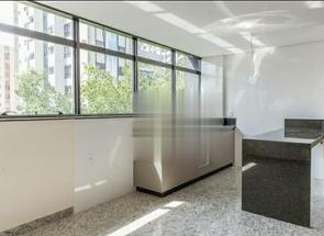 Apartamento, 1 Quarto, 1 Vaga, 1 Suite em Lourdes, Belo Horizonte, MG valor de R$ 490.000,00 no Lugar Certo