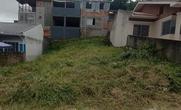 Lote