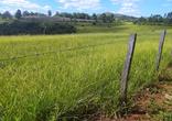 Fazenda, 2 Quartos, 1 Vaga, 1 Suite